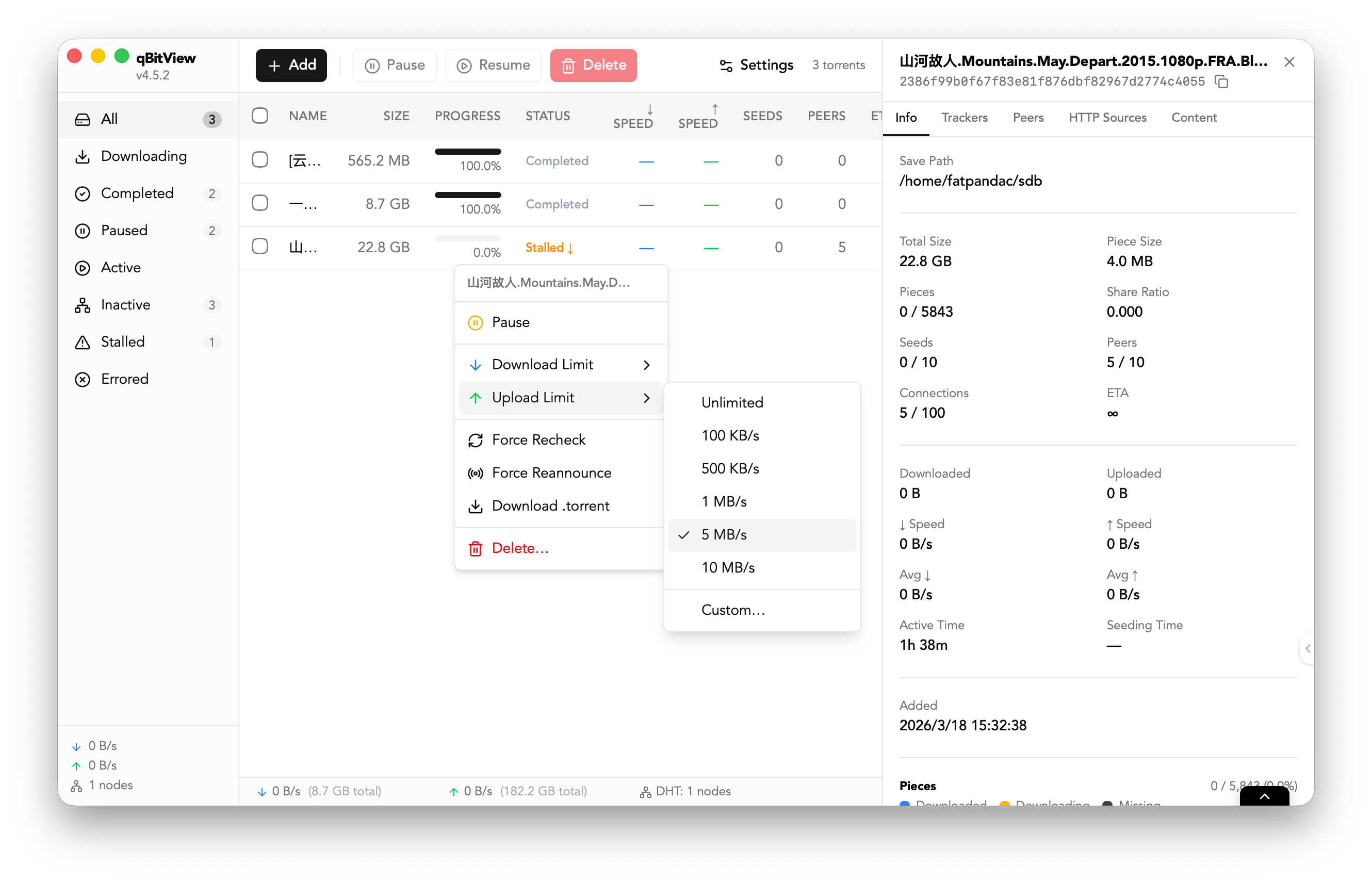 qBitView application screenshot